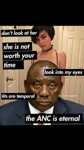 Make jacob zuma memes or upload your own images to make custom memes. Facebook