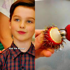 Humanitaargümnaasium