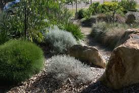 Native Landscaping By Mallee Design Gardening With Angus