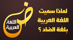 لماذا سميت اللغة العربية بلغة الضاد Youtube