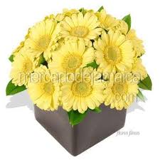 Maybe you would like to learn more about one of these? Pin On Arreglos Florales Con Gerberas