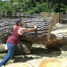 We offer tree removal services for both commercial and residential clients. Top 10 Best Tree Trimming Service In Wichita Ks Last Updated April 2019 Yelp