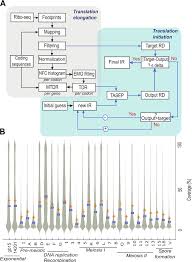 Novel Insights Into Gene Expression Regulation During