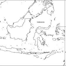 Image result for Neoholstia tenuifolia