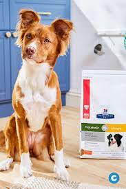 Hill S Prescription Diet C D Multicare Metabolic Urinary Weight Care Chicken Flavor Dry Dog Food 8 5 Lb Bag Chewy Com Dry Dog Food Diet Dog Food Dog Food Recipes