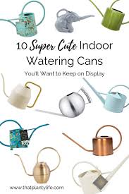 10 Indoor Watering Cans You Ll Want To Keep On Display Indoor Watering Can Indoor Watering Plant Watering Can