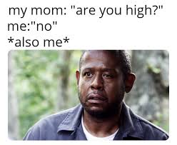 Under the influence of alcohol, drunk. Zooted Dankmemes