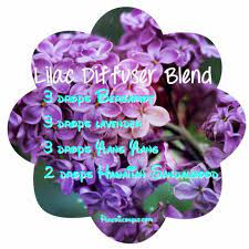 Lilac Diffuser Blend Lilac Essential Oil Living Essentials Oils Essential Oil Diffuser Blends