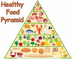 Image result for food pyramid chart 2019