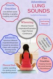 Adventitious Lung Sounds Include Wheezing Stridor Crackles Rhonchi And Pleural Rub Find Out Nursing School Survival Nursing School Notes Pediatric Nursing