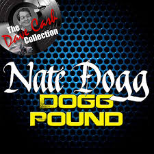 Contains samples of 1 song. Nobody Does It Better Feat Warren G By Nate Dogg