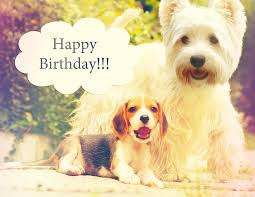 Happy Birthday Beagle Dog Images Find & download free graphic resources for happy birthday. happy birthday beagle dog images