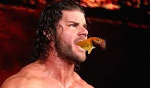 impact wrestling 6 19 2014