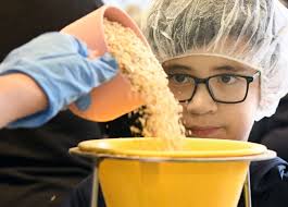 Photo Gallery: Sunday, Nov. 27, 2022