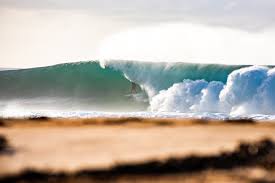 Image result for foto surfínie