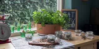 Sie sind häufig nicht nur schmackhaft, sondern auch gut für körper und geist. 6 Tipps Fur Frische Krauter In Der Kuche Ikea Unternehmensblog