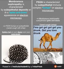 This sturdy hoofed mammal is a. 82 Year 4 Special Pathology Ideas In 2021 Pathology Epidural Hematoma Subdural Hematoma