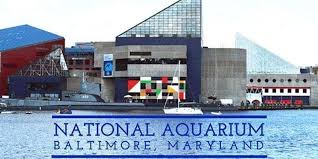 The aquarium, which opened in 1981 in the inner harbor area of baltimore, md., was financed largely by. Baltimore Aquarium And Inner Harbor Bus Trip April 10 2021 Target Richmond 10 April 2021