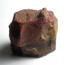 Petrified Wood Petrified Wood Raw Gemstones Rocks Rocks And Minerals