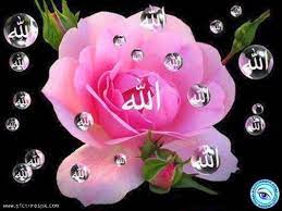 Below are all 99 names of allah for our white flower series. Allah Beautiful Name Of Allah 800x600 Wallpaper Teahub Io