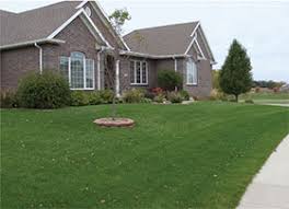 Maybe you would like to learn more about one of these? Yard And Garden Properly Aerating Lawns News
