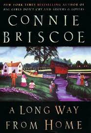 A Long Way Home By Connie Briscoe Entertaining Books Chapter Books Book Discussion