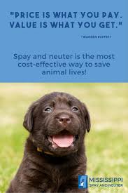 We'd love to give you a free implant consult. One Unaltered Female Dog And Her Offspring Can Produce 67 000 Puppies In Only Six Years And In Seven Years One Fem Dog Boarding Near Me Luxury Dog Dog Dental