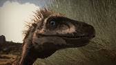 Here are some amazing facts. Pronounce Dinosaur With 500 Teeth How To Say Nigersaurus Youtube