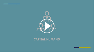 54 transparent png illustrations and cipart matching humano. Videos Entender La Economia