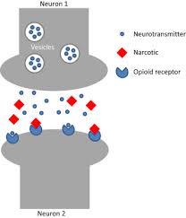 Narcotic Analgesic Agent An Overview Sciencedirect Topics