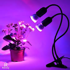 This artificial light source is a compact way to. The 15 Best Grow Lights For Your Plants