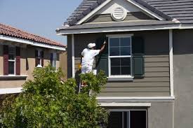 Vinyl siding, on the other hand, is much harder to paint. Best House Siding Options