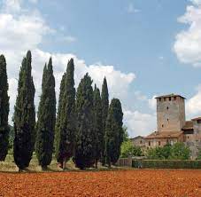 Un avocat accepte de défendre un homme accusé d'avoir tué un vieil homme d'affaire. Italien Drehort Toskana Eine Reise Auf Filmischen Spuren Welt