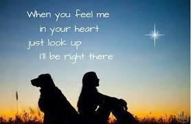 I have had many dogs in my life and know what a joy they can be. 14 Dog Loss Quotes And Images To Help You Cope Playbarkrun
