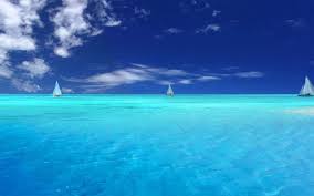 We did not find results for: Free Wallpaper Sea Live Worth Watching Wallpapers Of Sea View You Will Enjoy It Nextpit Forum