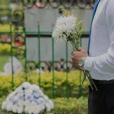 新潟日報デジタルプラス - News update