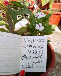 Pin By Nada Nemo On كتابات Words Arabic Quotes Lettering