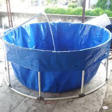 Budidaya Ikan Kolam Terpal