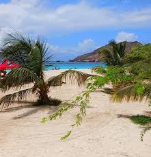 Traveling to Cape Verde in February, hotel oasis belorizonte in Santa  Maria, sal. Those of you who have been there, what do you think of the  hotel? Have you taken any vaccine