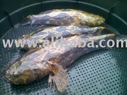 Maybe you would like to learn more about one of these? Ikan Keli Photo Images Pictures On Alibaba