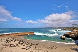 20 Free Things To Do In La Jolla San Diego Attractions La Jolla Mom San Diego Attractions San Diego Travel San Diego Vacation