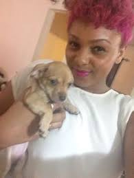 Discover 7 Perm rods