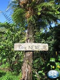 Gite Newejie Poindimie Gite Province Nord Grande Terre Nouvelle Caledonie Gite Locations Vacances Maison Individuelle