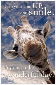 Keep Your Chin Up And Smile Pictures Photos And Images For Facebook Tumblr Pinterest And Twitter In 2021 Giraffe Cute Animals Animals