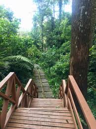 Banyak sekali tempat menarik di bandung yang bisa kamu jelajahi. Attractions Visit Sarawak