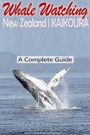 Pin On Travel New Zealand