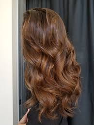 I originally wanted a caramel or even a lighter brown since my hair is already dark like a level 3. 63 Hair Color Light Brown Caramel Ideas In 2021 Hair Hair Color Hair Styles