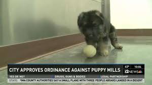 There are many ways to find buyers for your litter. Phoenix S Attempt To Curb Puppy Mills Challenged