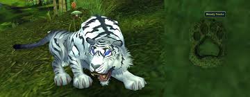 All pet prices browse realms compare realms. Wow Rare Spawns Savage Trackable Hunter Pet Cat