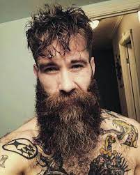 Pin On Bear Beard A Rama